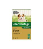 Advantage Green for Dog