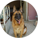 Κωνσταντίνα! 11 profile picture