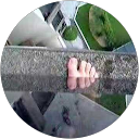 Edward Mykonos profile picture