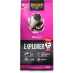 EXPLORER